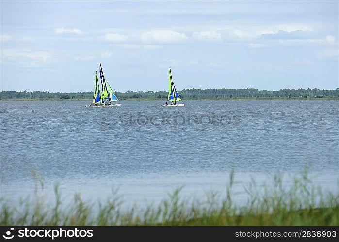 People windsurfing on a lake