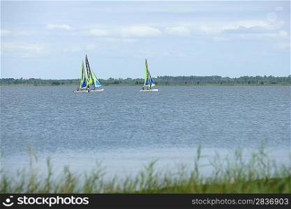 People windsurfing on a lake