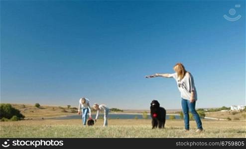 People with Newfoundland dogs playing on the nature