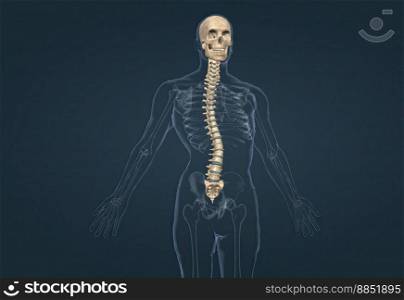 People with scoliosis have a sideways curve in the spine 3d illustration. People with scoliosis have a sideways curve in the spine
