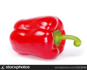 pepper isolated on a white background