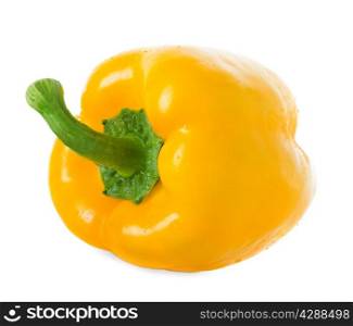 pepper yellow