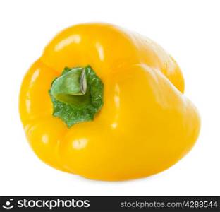 pepper yellow