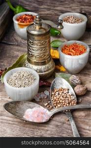 peppercorn and Indian spice. Variety of spices and seasonings on kitchen table