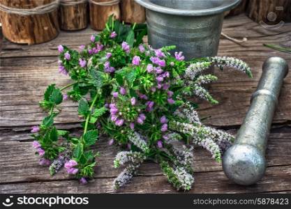 Peppermint is perennial herbaceous plant. Cut bunch of cherry peppermint amid mortar in the rural style.Photo tinted.Selective focus