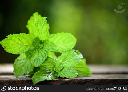 peppermint leaf / Fresh mint leaves on a wooden nature green background