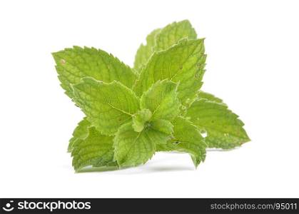 Peppermint on white background