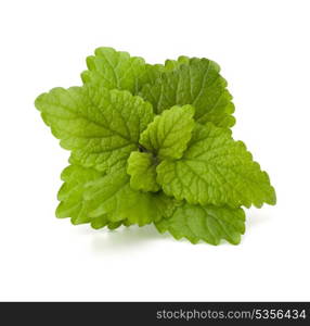 Peppermint or mint bunch isolated on white background cutout