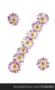 Percent Sign Made Of Pink And White Daisies