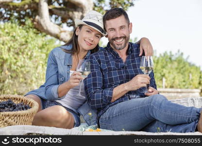 perfect picnic on the meadow