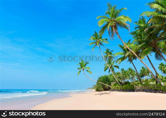 Perfect sandy ocean beach at tropical resort island with coconut palm trees and clear blue sky