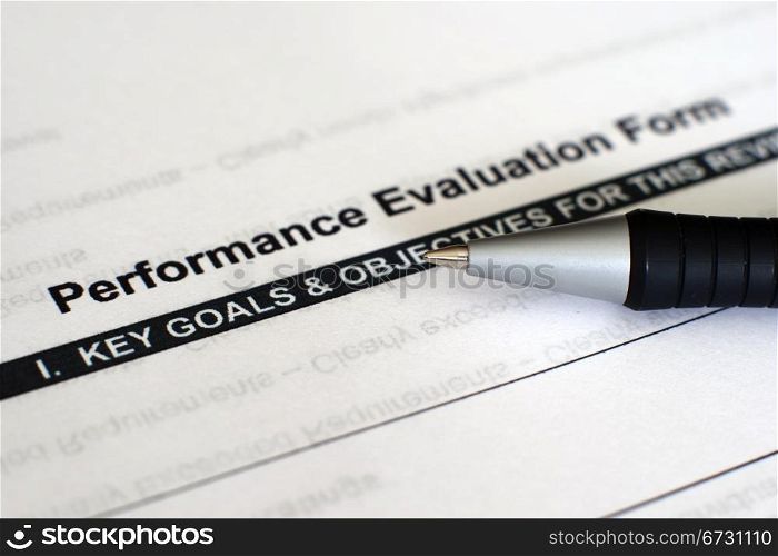Performance evaluation form