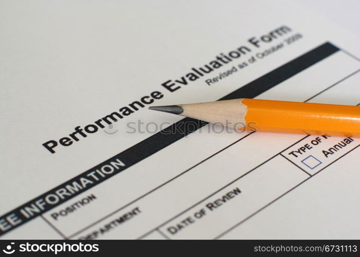 Performance evaluation form