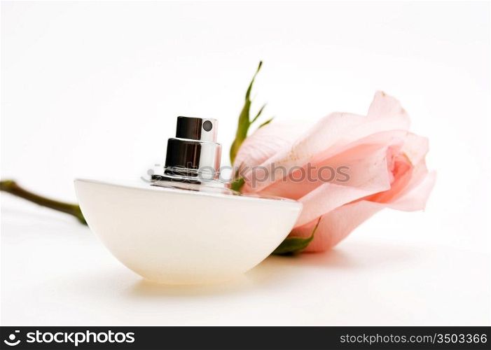perfumes with the scent flower roses