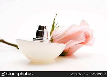 perfumes with the scent flower roses