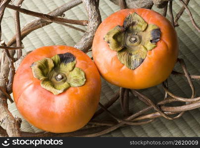 Persimmon