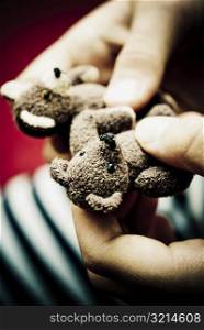 Person&acute;s hands holding teddy bears