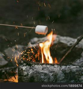 person burning marshmallows camp fire 2. Resolution and high quality beautiful photo. person burning marshmallows camp fire 2. High quality beautiful photo concept