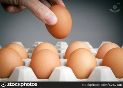 Person choosing the best egg from a carton of eggs