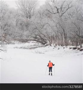 Person cross country skiing in winter snow