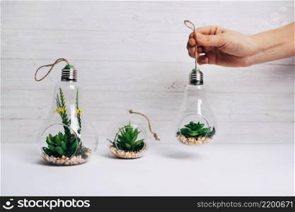 person holding cactus plant inside light bulb white desk against wooden wall