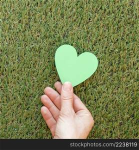 person holding green heart grass