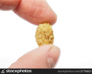 Person holding up dried mulberry between two fingers towards white