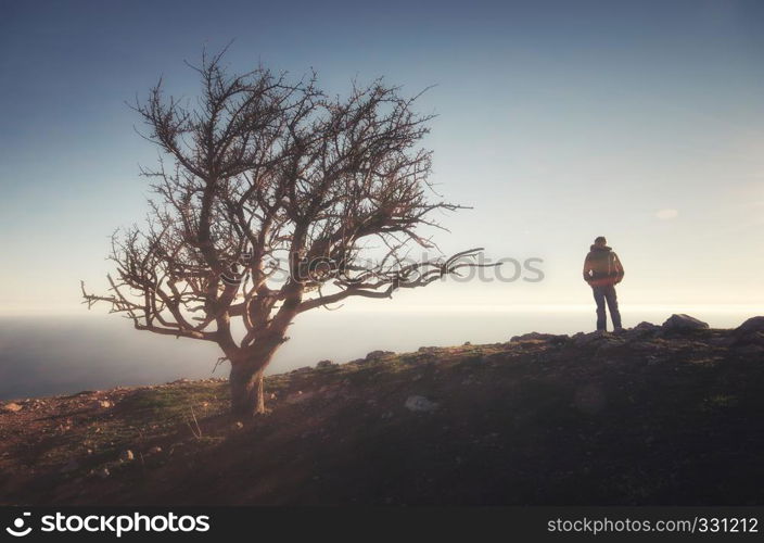 Person on the cliff and old thee. Conceptual scene.