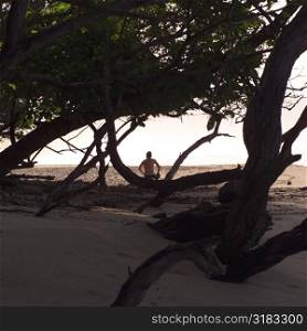 Person sitting amongst trees on the beach