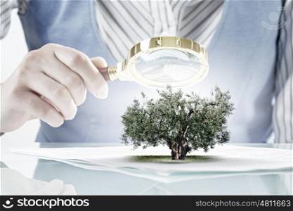 Person using magnifier for exploration. Woman botanist checking the growth of tree with magnifying glass