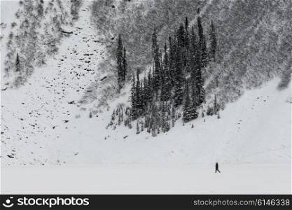 Person walking in snow, Lake Louise, Banff National Park, Alberta, Canada