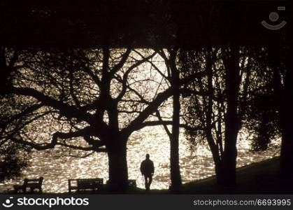 Person Walking on Path Beside Lake