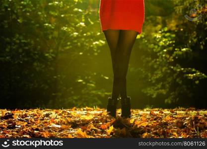 Person walking through forest.. Relax outdoor feminine concept. Person walking through forest. Female in stockings slowly making way in autumnal woodland enjoying nature surroundings.