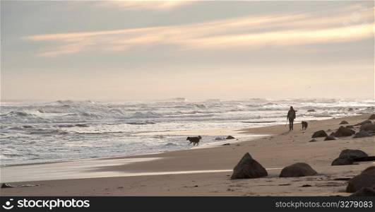 Person walking with their dogs along Hampton shoreline