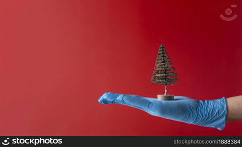 person wearing medical gloves holding tree toy . Resolution and high quality beautiful photo. person wearing medical gloves holding tree toy . High quality and resolution beautiful photo concept