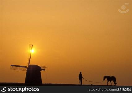 Person With Horse and Windmill at Sunset