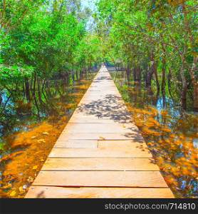 Perspective of wooden footpath over water
