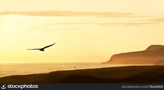 Peruvian Coastline, Rock formations at the coast, Paracas National Reserve, Paracas, Ica Region, Peru