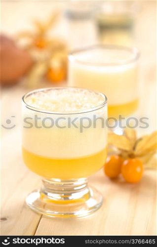 Peruvian cocktail called Aguaymanto Sour (Physalis Sour) prepared from physalis juice, pisco (Peruvian grape hard liquor), syrup and egg white (Selective Focus, Focus on the front of the glass rim and the froth)