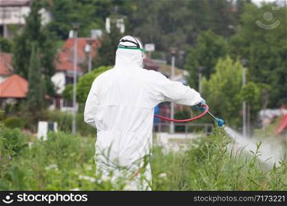 Pest control worker spraying insecticide