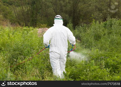 Pest control worker spraying insecticide