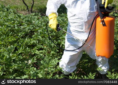 Pesticide spraying. Non organic vegetables.