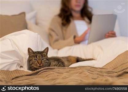 pet and domestic animal concept - cat lying in bed with woman using tablet pc computer at home bedroom. tabby cat lying in bed with woman at home bedroom