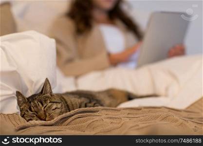 pet and domestic animal concept - cat sleeping in bed with woman using tablet pc computer at home bedroom. tabby cat sleeping in bed with woman at home