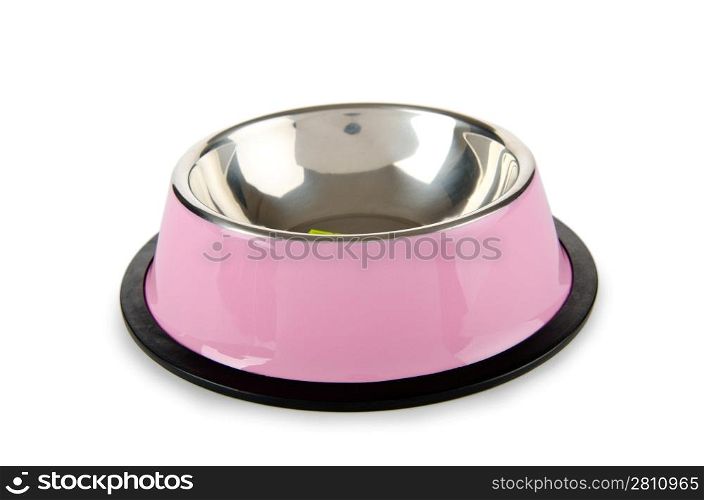Pet bowl isolated on the white background