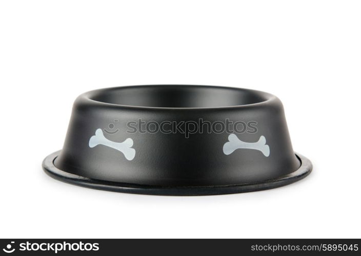 Pet bowl isolated on the white background