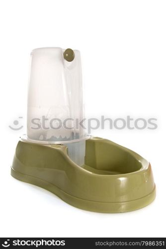 Pet Drinking Water Fountain in front of white background