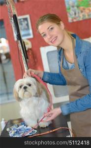 Pet groomer with small dog