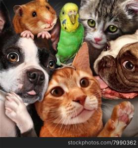 Pet group concept as dogs cats a hamster and budgie gathered together as a symbol for veterinary care and support or pets store design element for home animals advertising and marketing.