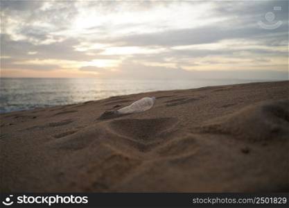 PET Plastic bottle trash on shore beach